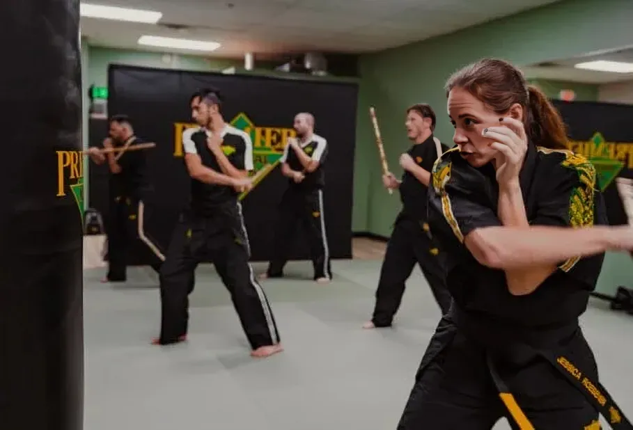 BJJ Kids at Premier Martial Arts Elk Grove
